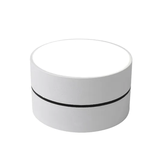 LUMIBRIGHT MOON IP54 DOWN LIGHT 3000K LUMINAIRES-12W