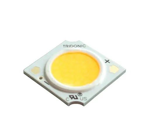CXA2530-30G-U2-NOH-000B5