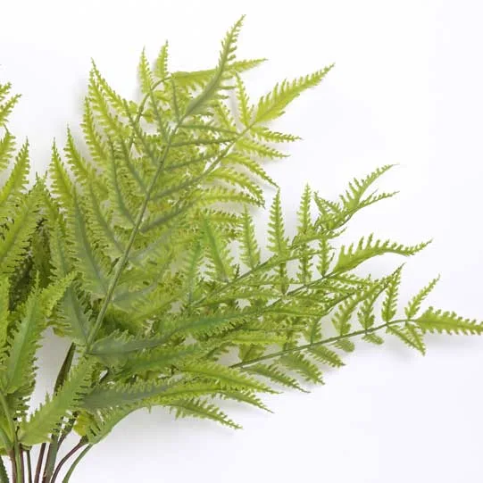 DESROCH DECOR KAARLE LOQUAT LEAVES PLANT