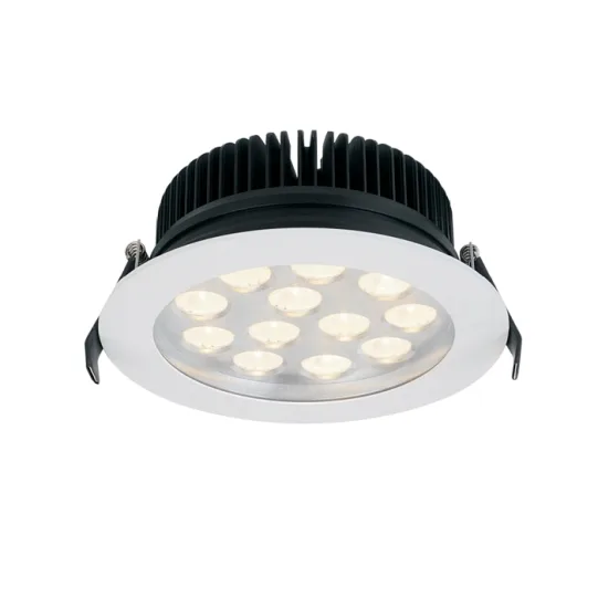 LUMIBRIGHT MUSK IP65  DOWN LIGHTS LUMINARIES - 36W
