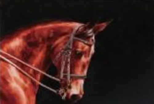 DESROCH ART SWAROSKI CRYSTAL BEAUTIFUL HORSE WALL ART