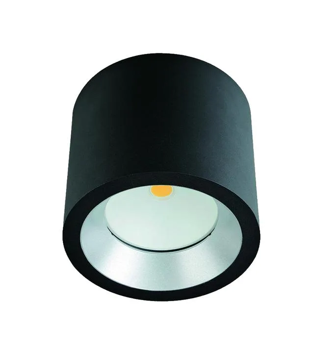 LUMIBRIGHT RAFAL IP65 DOWN LIGHT 6000K LUMINARIES-40W