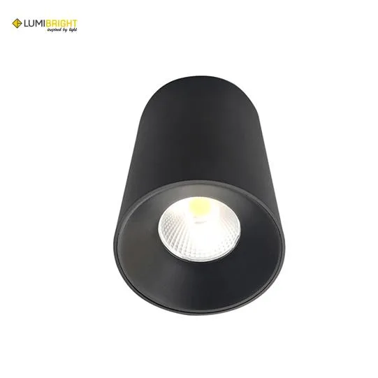 LUMIBRIGHT RAFAL 20W 4000K BLACK DOWN LIGHT IP40