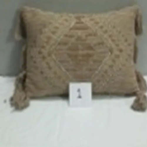 DESROCH MODERN COZY LUXURY CUSHION COVER