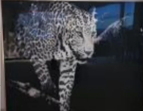 DESROCH ART SWAROSKI CRYSTAL  JAGUAR WALL ART