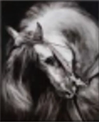 DESROCH ART SWAROVSKI CRYSTAL BEAUTIFUL HORSE WALL ART