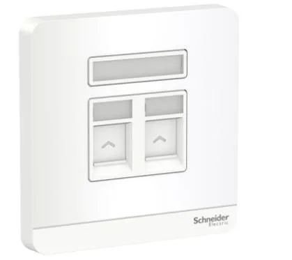  SCHNEIDER S2 Gang wall plate (without module)