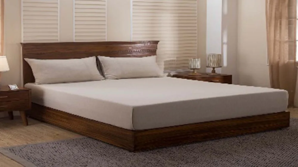 DESROCH ELEGANT COMFORT COTTON STANDARD BED SHEET