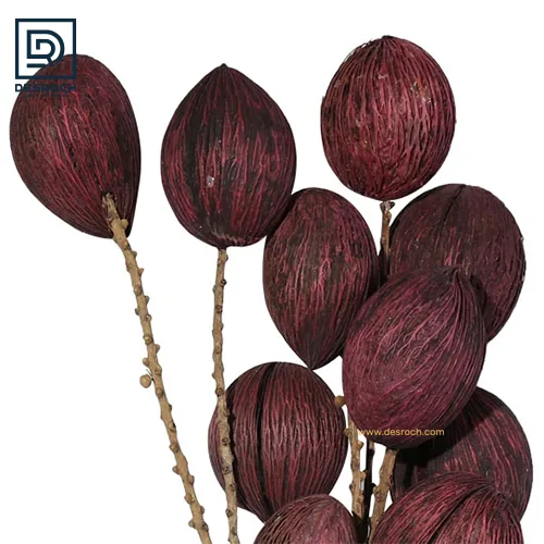 DESROCH DECOR MULBERRY MINTOLA BALL  FLORALS 