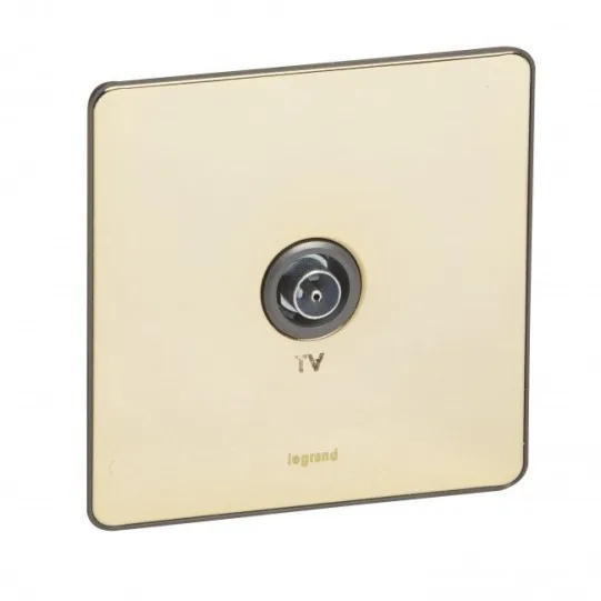LEGRAND SCREENED TV SINGLE BS GOLD