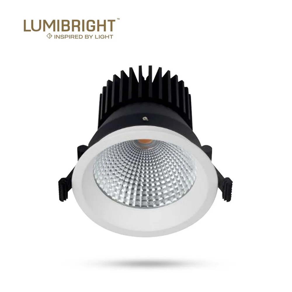 LUMIBRIGHT KAEL IP65 DOWN LIGHTS 3000K LUMINAIRES-20W