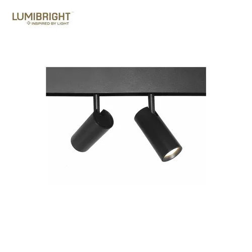 LUMIBRIGHT ILLUME-DIM SERIES 2X7W Ø35X80MM IP20 48VDC DALI COMPATIBLE MAGNETIC SPOT LIGHTS LBTMG21