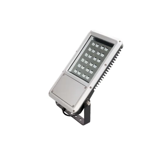 LUMIBRIGHT FLORA LUMIOUTDOOR 40W FLOOD LIGHT IP66