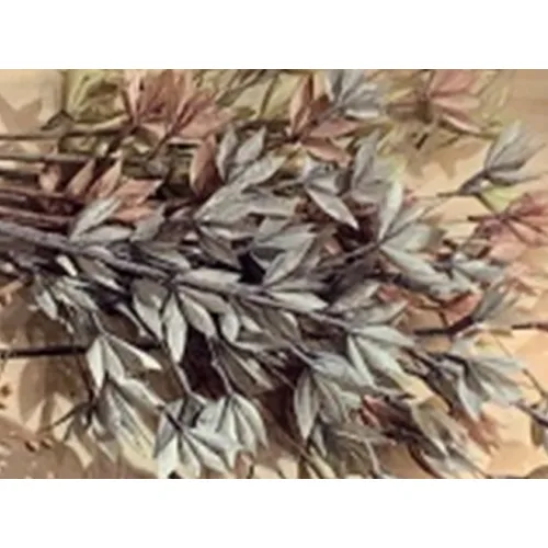 DESROCH DECOR NATURAL DECORATIVE DRY FLORAL