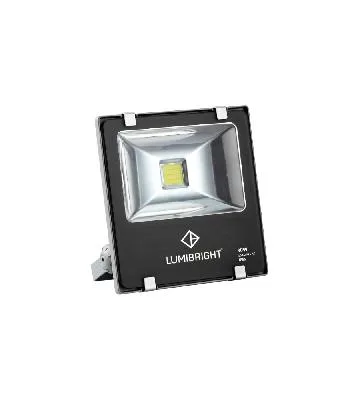LUMIBRIGHT EIDER 30W 6000K GRAPHITE FLOOD LIGHT IP65