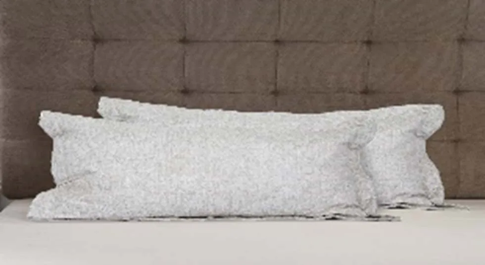 DESROCH ELEGANT COMFORT PILLOW COVER PILLOW SHAM