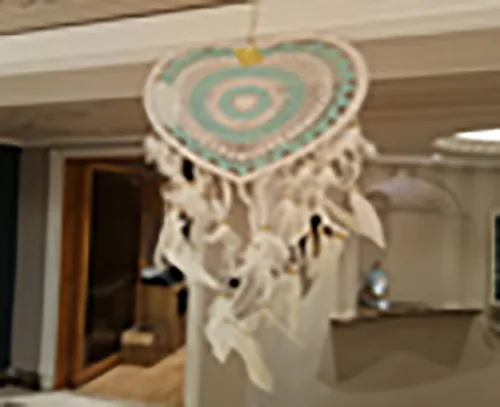 DESROCH DECOR WALL PLATE HANGER DECORATIVE DREAM CATCHER