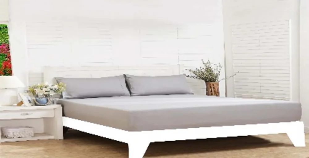DESROCH ELEGANT COMFORT COTTON STANDARD BED SHEET