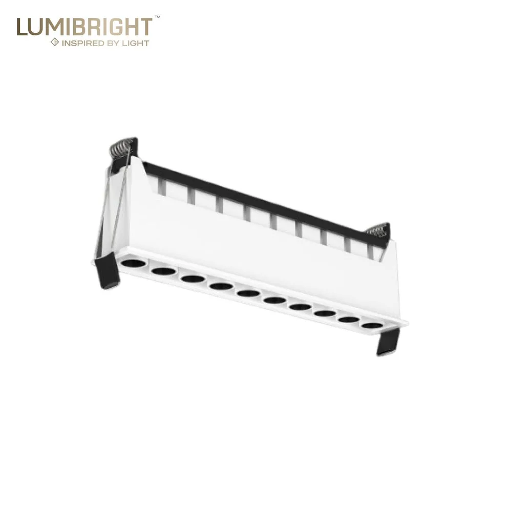 LUMIBRIGHT FUSION SERIES 10X2W 211X32X66MM IP20 RGBW PULL-OUT RECESSED SPOTLIGHT LBP2012