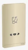 AvatarOn, shaver socket, 115/240V, 20VA, Wine Gold
