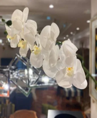 DESROCH DECOR MODERN BEAUTIFUL WHITE PHALAENOPSIS FLOWER