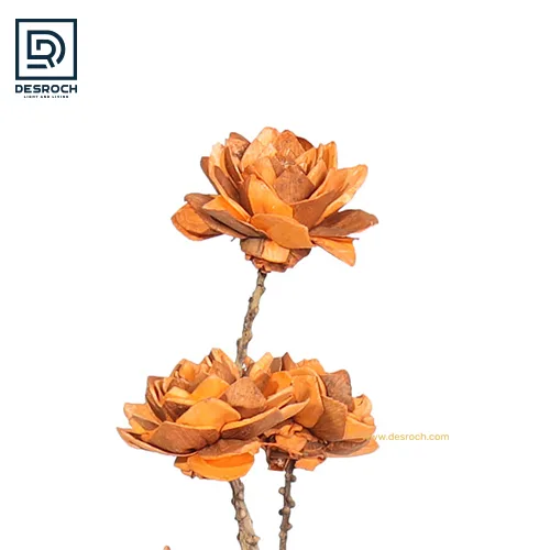 DESROCH DECOR ORANGE SHOLA WATER FLORAL