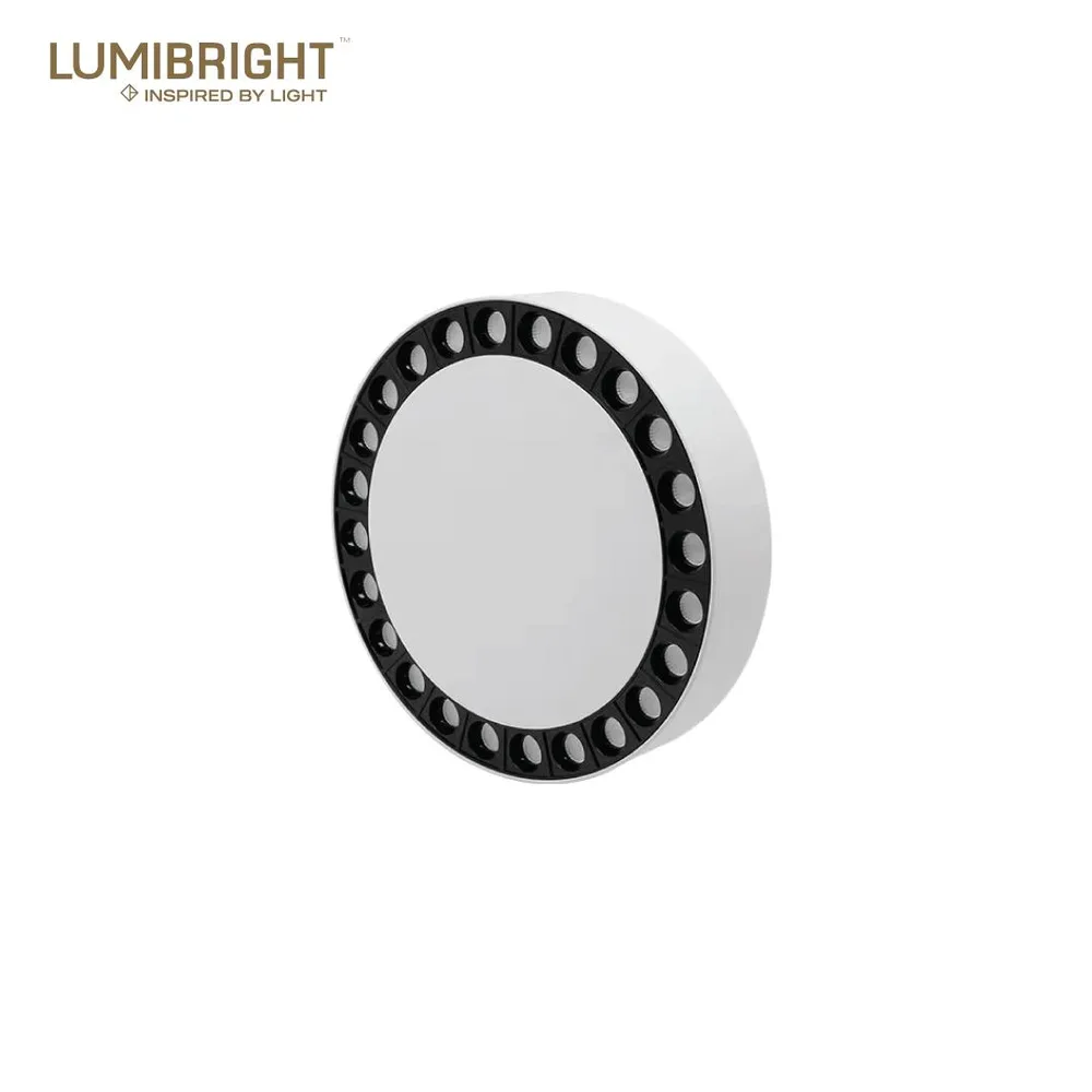 LUMIBRIGHT VHILSA 5 SERIES 30W Ø209X45MM IP20 SURFACE MOUNTED COMBO LIGHT