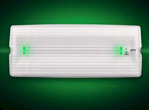 LED COMPACT EMERGENCY SELF CONTAINED  LIGHT 2W  220V AC SIZE-100X51mm  IP65