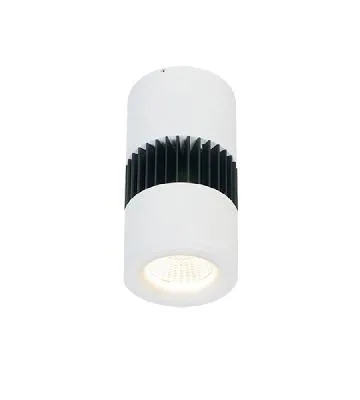 LUMIBRIGHT TYR IP40 DOWN LIGHTS 4000K LUMINAIRES-7W