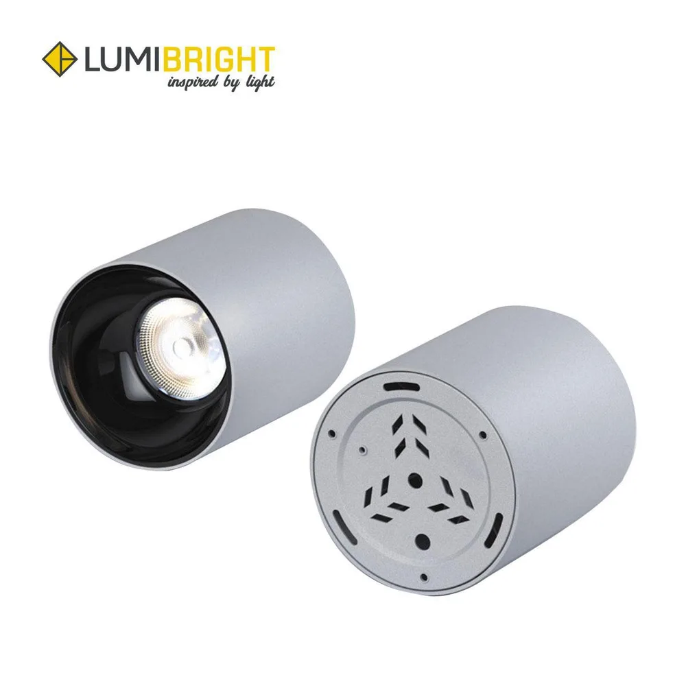 LUMIBRIGHT ABAJO 30W SPOT LIGHT IP65
