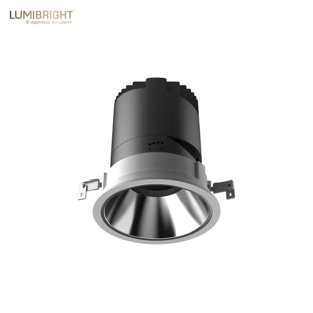 LBE2161.C.950.WWH+MSR.36.DR
