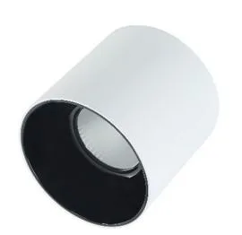 RR LIGHTING 50W 100-240VAC 6500K CEILING MOUNTED COB DOWN LIGHT