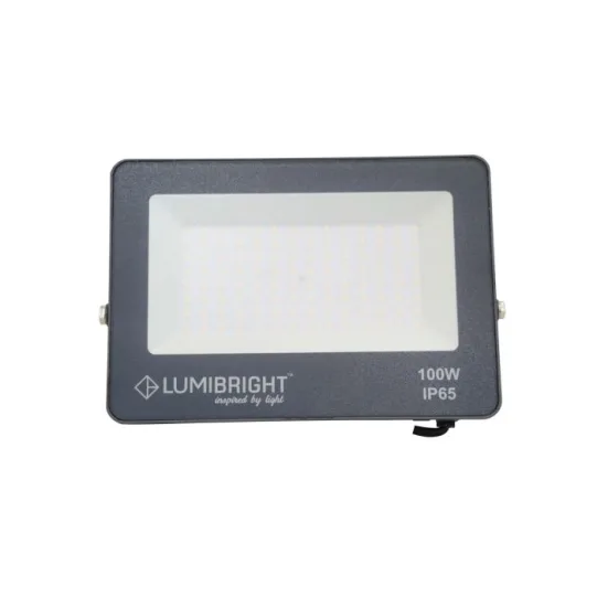 LUMIBRIGHT EIDER 100W 6500K BLACK WITH SAND FLOOD LIGHT IP65