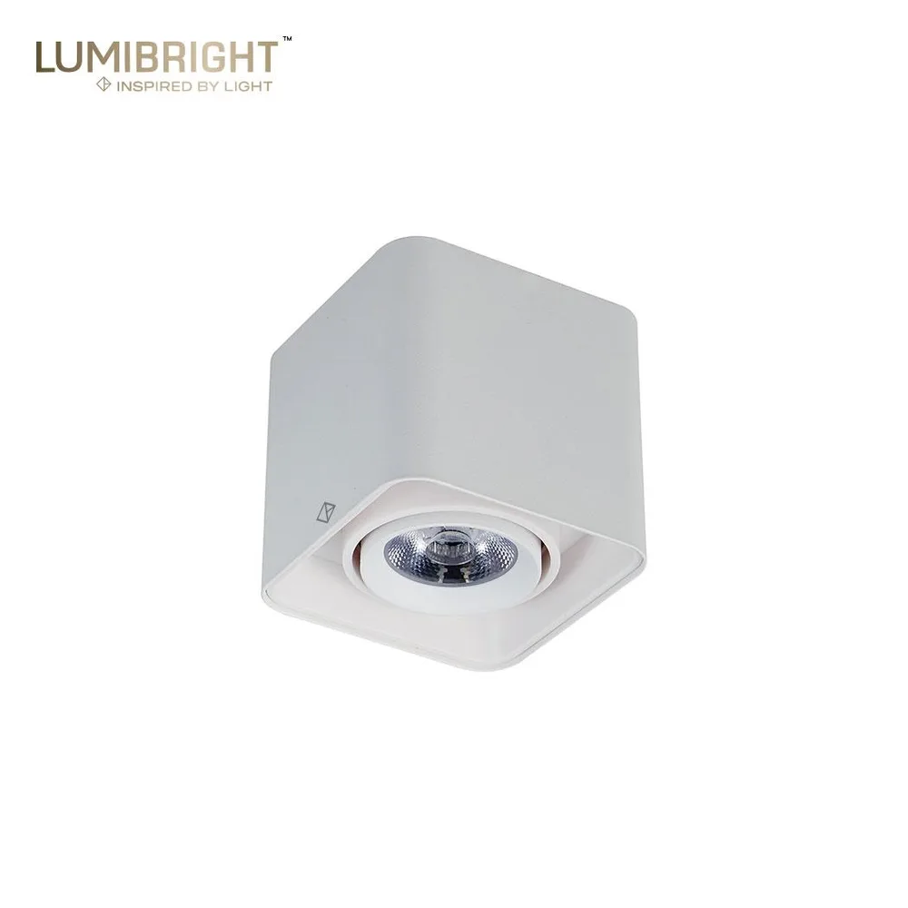 LBE2061.C.960.PWH.24