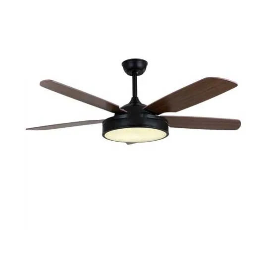 DESROCH DECORATIVE CEILING FAN WITH LIGHT