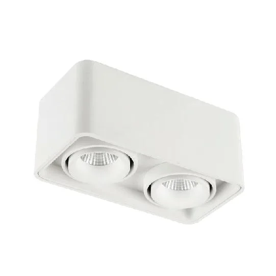 LUMIBRIGHT UNIQUE 2x9.3W 2700K WHITE SPOT LIGHT IP20
