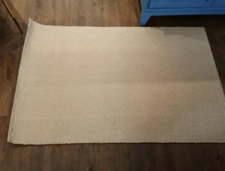 DESROCH DECORATIVE RUG