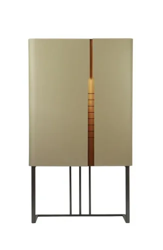 DR1101249