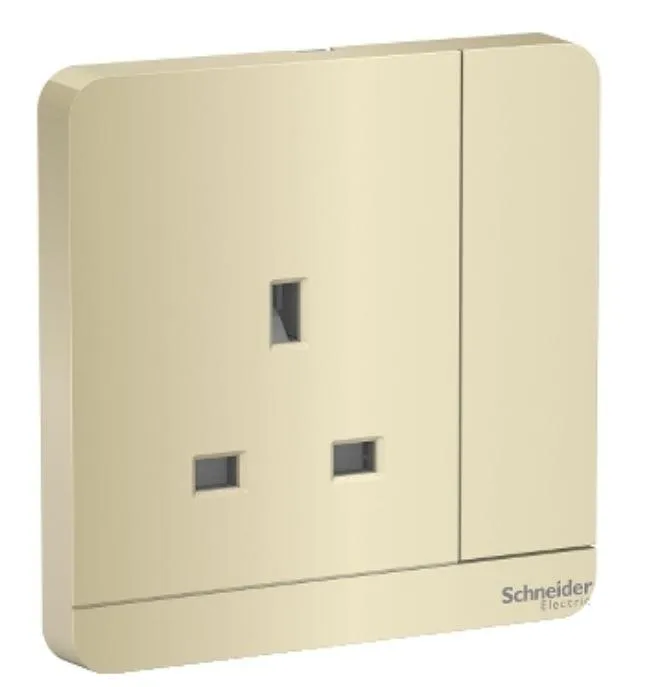 SCHNEIDER 13AMP single socket 