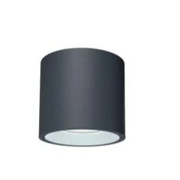 LUMO SURFACE MOUNTED CEILING LIGHT 40W 3000K 220V AC DAI-169mm H-150mm IP65 