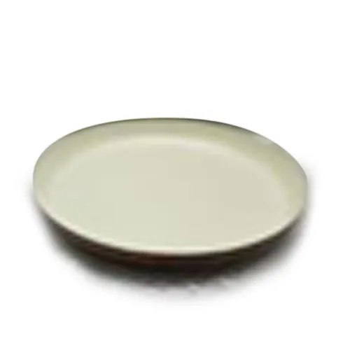 DESROCH DECOR ATTRACTIVE COLOURFUL DECORATIVE  PLATE DECORATIVE OBJECT