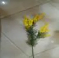 DESROCH DECOR MODERN BEAUTIFUL ACACIA CREAM FLOWER