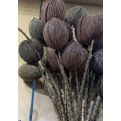 DESROCH DECOR MOSS FLORAL