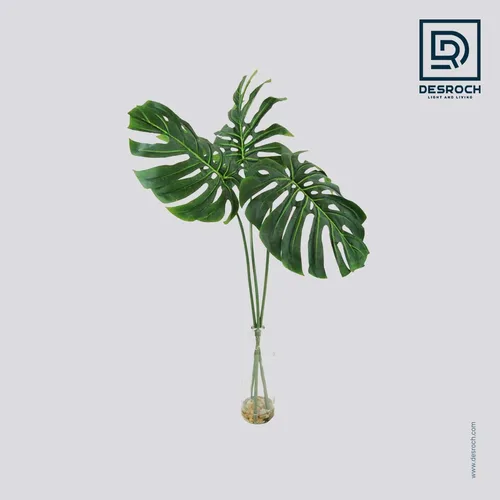DESROCH DECOR KAARINA TURTLE LEAF PLANT