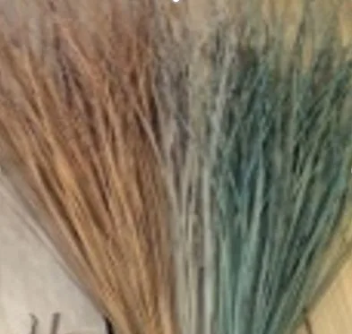 DESROCH DECOR TING PALM STRAIGHT SHEAF BUNCH POLY MOSS GREEN DRY FLORAL