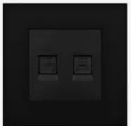  BG Cat 6 double socket Front plate black Evolve series