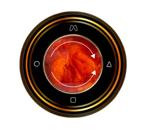 MANDO ‐ WIRELESS ROTARY CONTROL HUB WITH TABLE MOUNTED SYSTEM WSBRMB4D2‐VL-T