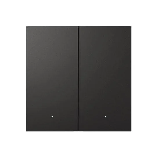 BLEND SWITCH PRO - METAL - GRAPHITEE 2 WAY