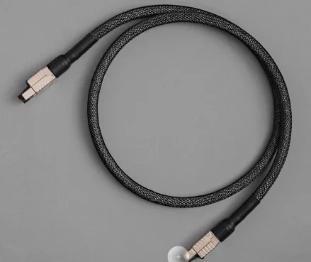 X1021 DENMARK AXXESS ETHERNET CABLE 1.0M